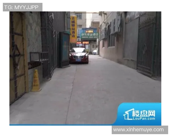 西安乒乓球队技术分析与发展探讨聚焦乒乓球竞技新趋势